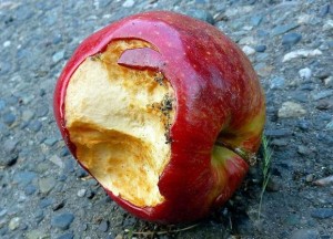 rotten apple (4)