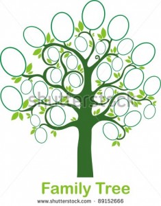 stock-vector-family-tree-frames-empty-for-your-input-vector-illustration-89152666