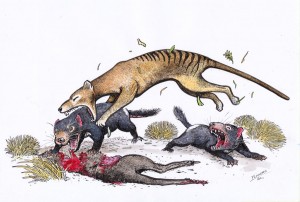 thylacine_hunting_tas_devils_by_snake_artist-d49yj53